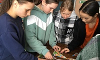 Сказки - добрые друзья