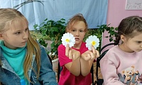 Ромашки нежный лепесток