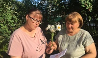 Правовая поддержка семьи: что важно знать