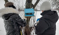 Пернатые соседи: встречаем зиму вместе