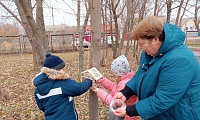 Синичка – воробью сестричка