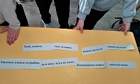 Мягкие лапки, а в лапках царапки