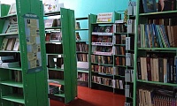 Лопатинская сельская библиотека