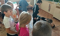 На солнечной полянке