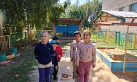 День журавля