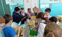 Мягкие лапки, а в лапках царапки