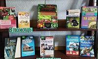 За каждое дело берись умело