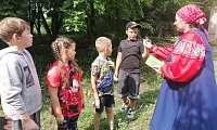 Лес полон чудес