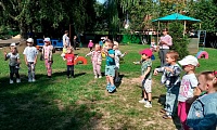 Под флагом единым