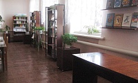 Салтыковская сельская библиотека
