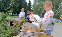 Волшебный мир сказок