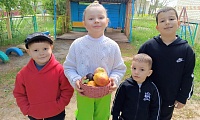 Зеленые загадки, что растут на грядке