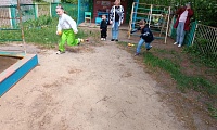 Зеленые загадки, что растут на грядке