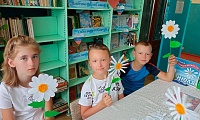 Ромашки нежный лепесток