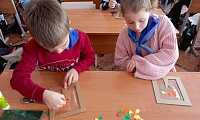 Чудеса осенней природы