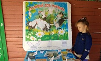 День журавля