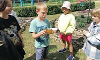 Загадки на каждом шагу