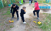 Зеленые загадки, что растут на грядке
