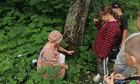 Лес полон чудес