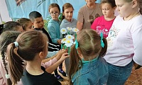 Ромашки нежный лепесток