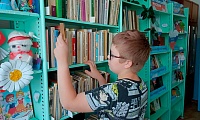 Здесь живут книги