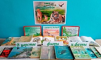 мир дикой природы