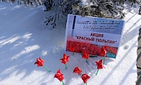 Красный тюльпан
