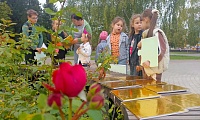 Волшебный мир сказок
