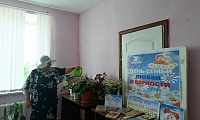 Ромашка - символ счастья