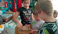 Здесь живут книги