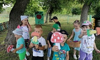 На природу за загадками